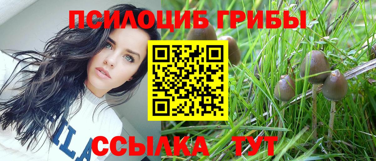 Ульяновск  Галлюциногенные грибы GOLDEN TEACHER  магазин  наркотиков  Вход с VPN 